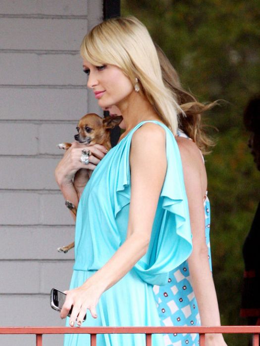Celebrities and their Dogs